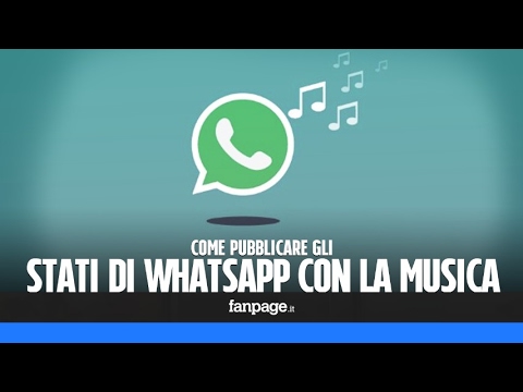 La guida definitiva per aggiungere musica a una foto sullo Stato di WhatsApp: trucchi imperdibili!